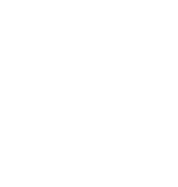 Kremer Aesthetics